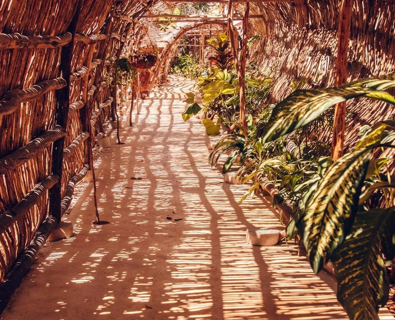 Nunum - Luxury Tenting Villa Tulum Lodge